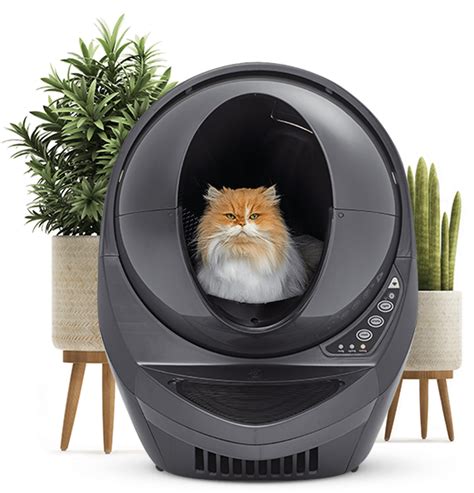 Robot litter box for pet-friendly homes