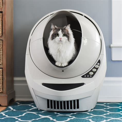 Robot litter box for pet-sitters