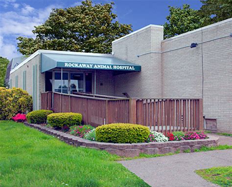 Rockaway Animal Hospital: 10,000+ Satisfied Pawlients in Rockaway, NJ