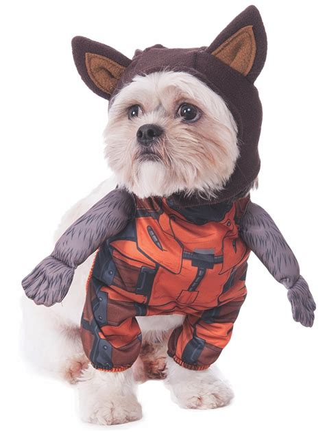 Rocket Raccoon Pet Costume: A Cosmic Adventure for Your Furry Friend