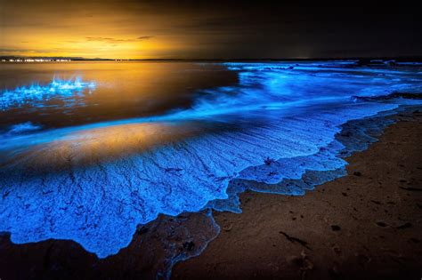 Rocks That Glow: Illuminating the Earth with Bioluminescence