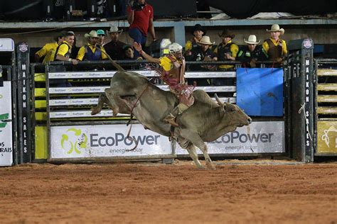 Rodeio Bet: Aposta e Emoção no Mundo dos Touros