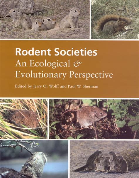 Rodent Societies An Ecological and Evolutionary Perspective Epub