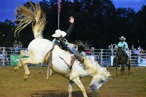 Rodeo Quincy: A Comprehensive Guide to the Thrilling Western Spectacle