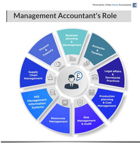 Role and Responsibilities of Chartered Accountants