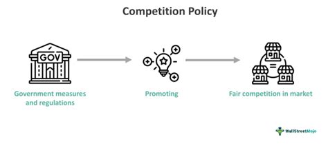 Role of Competition Policy in Economic Development and the Indian Experience Epub