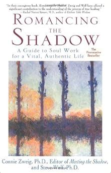 Romancing the Shadow A Guide to Soul Work for a Vital, Authentic Life Epub