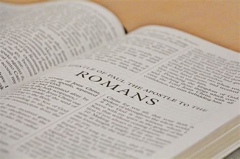 Romans Commentary and Translation PDF