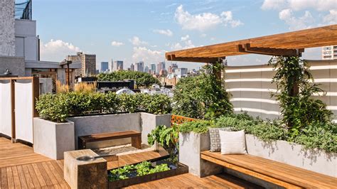 Rooftop Garden: