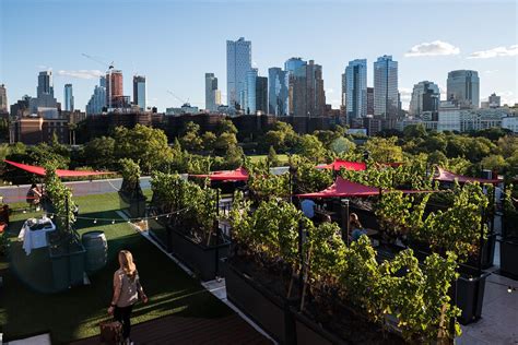 Rooftop Reds of New York: An Unforgettable City Escape