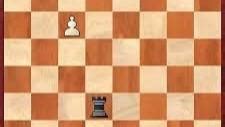 Rook and Pawn: A Dynamic Duo in the Chess World