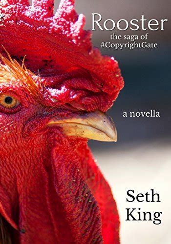 Rooster the Saga of CopyrightGate Kindle Editon
