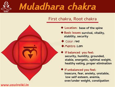 Root Chakra Alignment: