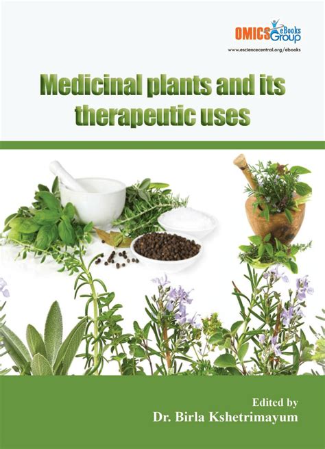 Root Pooty: A Comprehensive Guide to Its Therapeutic Properties and Medicinal Uses