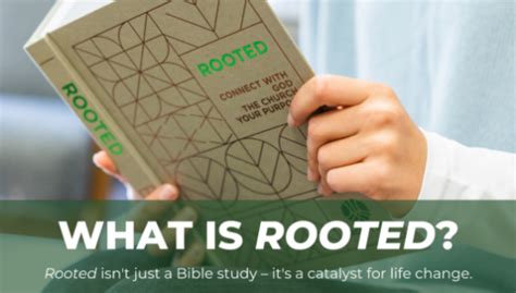 Rooted Bible Study: Exploring the Critical Perspective