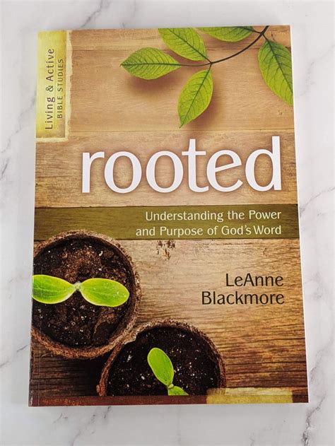 Rooted Bible Study Criticism: Uncovering Biases and Promoting Deeper Understanding