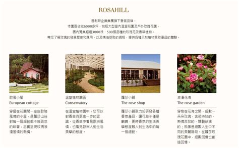 RosaHill 獨家揭秘：新時代應用創新的無限可能