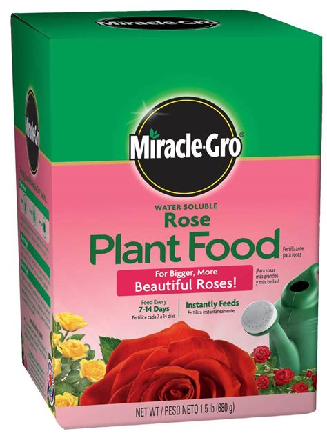 Rose Fertilizer Ratio: Unlock the Power of 3-1-2
