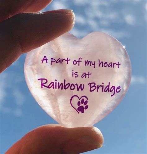 Rose Quartz: A Bridge to the Heart