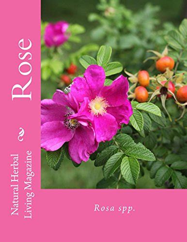 Rose Rosa spp Rosa spp Natural Herbal Living Magazine Book 4 PDF