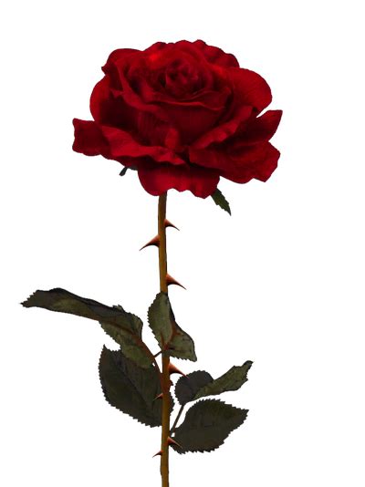 Rose and Thorn No 1 Epub
