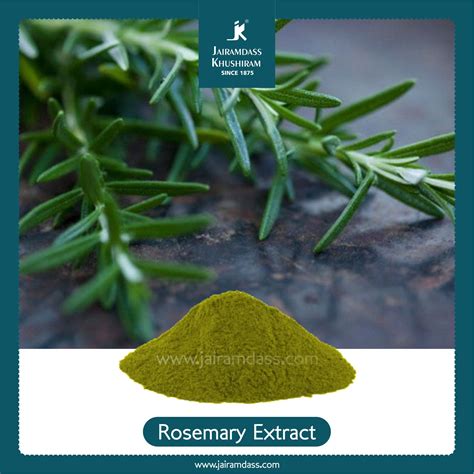 Rosemary extract: