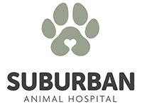 Roseville Animal Hospital MN: Your Trusted Pet Care Provider