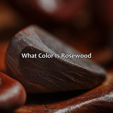 Rosewood寵物用品有限公司簡介