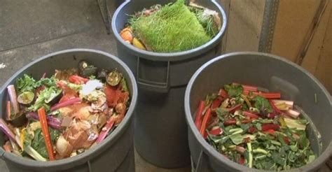 Rot Pot: 50,000 Ways to Composting Success