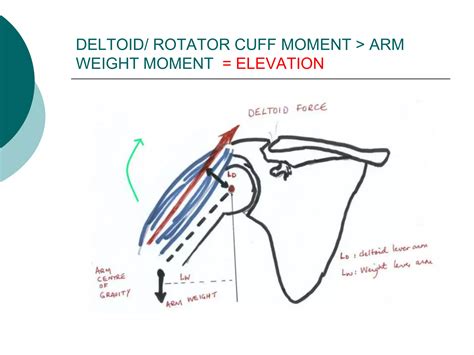 Rotator Cuff Deficiency of the Shoulder Kindle Editon