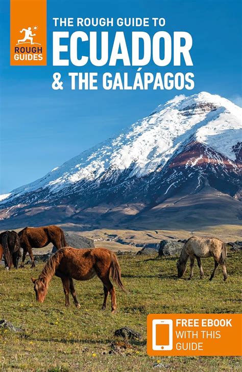 Rough Guide to Ecuador & the Galapagos Islands Kindle Editon