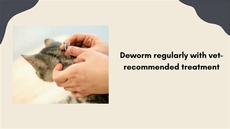 Roundworm Treatment for Cats: A Comprehensive Guide to Deworming Your Feline Friend