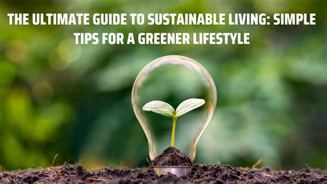 Rourkeely: The Ultimate Guide to Sustainable Living