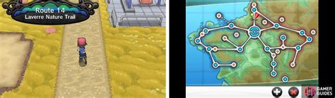 Route 14 Pokémon X: The Comprehensive Guide