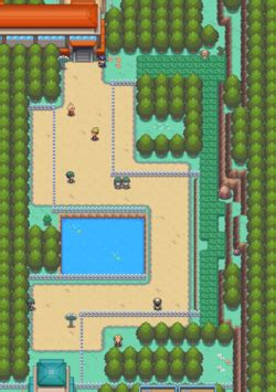 Route 35 Johto: Exploring the Pokémon Trail