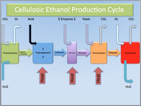Routes to Cellulosic Ethanol PDF