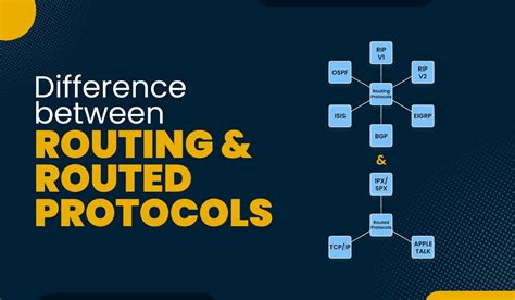 Routing and Routed Protocols: An Essential 101