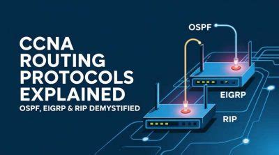 Routing and Routed Protocols: Demystified in 2025