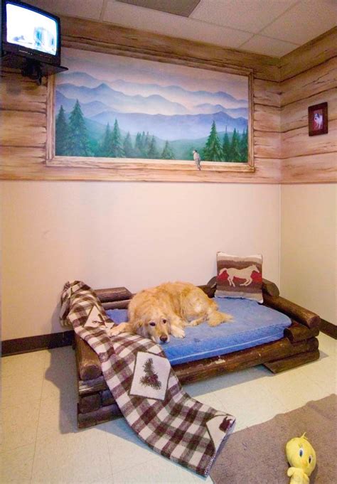 Rover Oaks Pet Resort Houston: Your Pet's Perfect Getaway