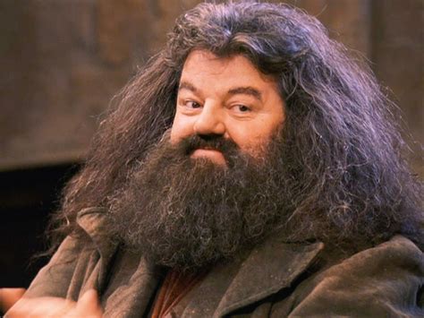 Rubeus Hagrid: The Embodiment of Magical Grandeur and Heartfelt Compassion