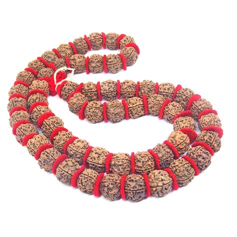 Rudraksha: A Powerful Talisman of Protection, Healing, and Spiritual Growth