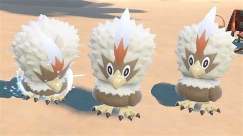 Rufflet Shiny: A Comprehensive Guide to Hunting and Catching This Rare Bird