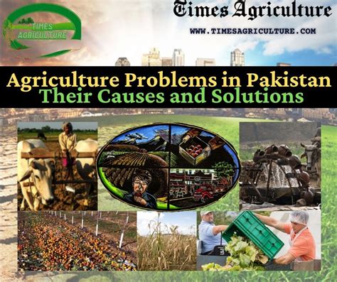 Rural Development Major Issues in Agricultural Management Reader