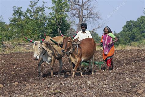 Rural Life in India Epub