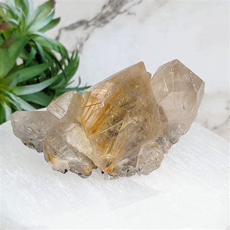 Rutilated Quartz: A Stone of Infinite Abundance and Spiritual Elevation