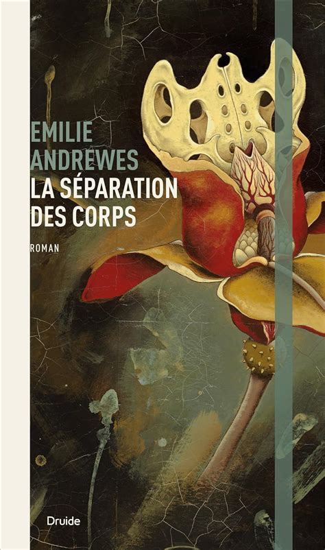 Séparation de corps French Edition Kindle Editon