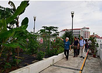 SACS Senior Group Homes in Jurong East: A Haven for Seniors