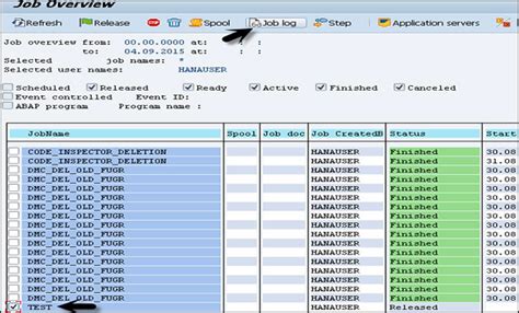 SAP Check the Status of the Background Job: A Comprehensive Guide (10000+ Words)