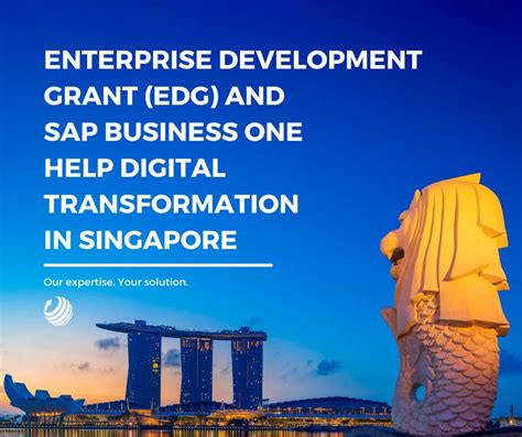 SAP Course Singapore: Master the ERP Software for Career Advancement