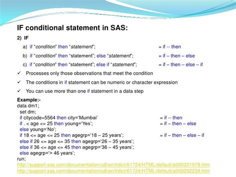 SAS IF ELSE Statement: A Comprehensive Guide for Conditional Processing